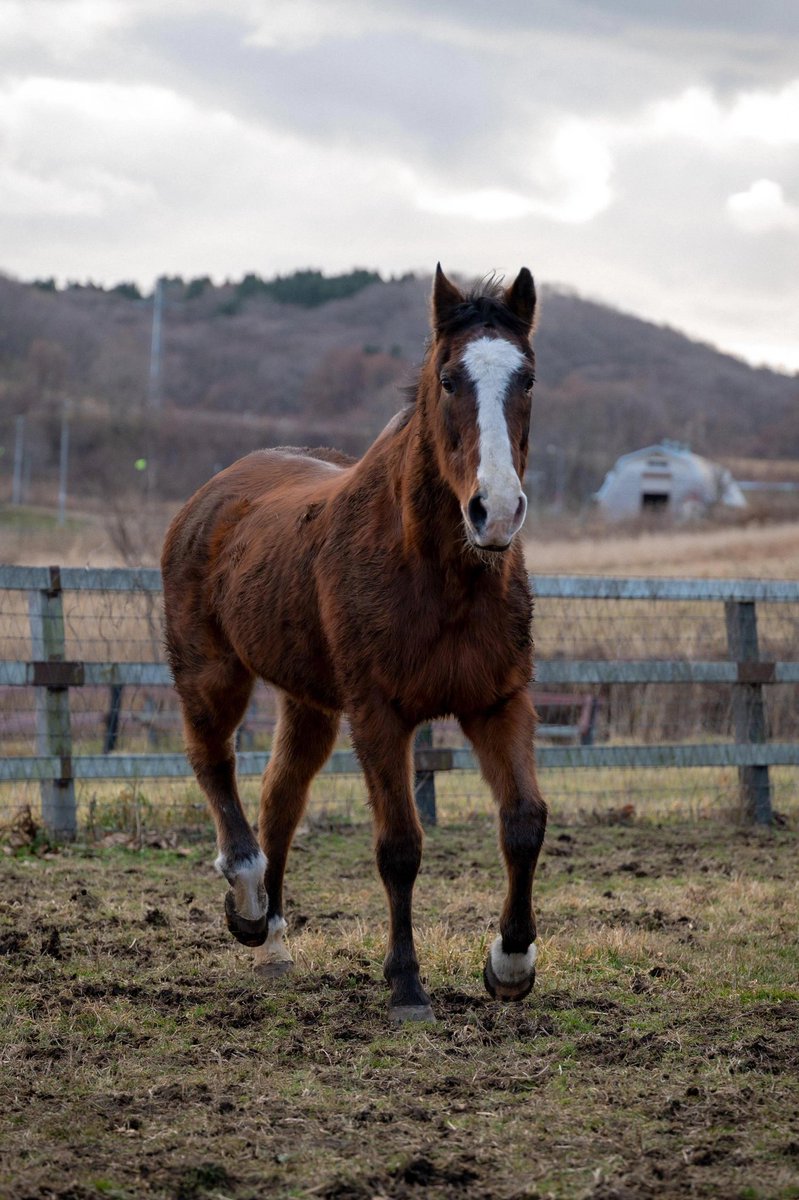 something cool tweet media