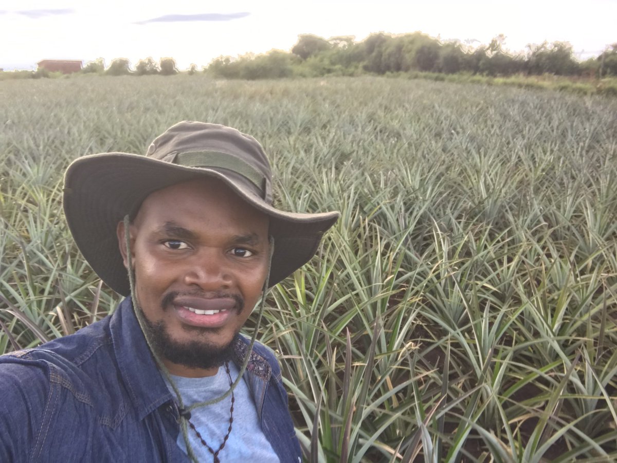 Novine Farm 🧑🌾 tweet media