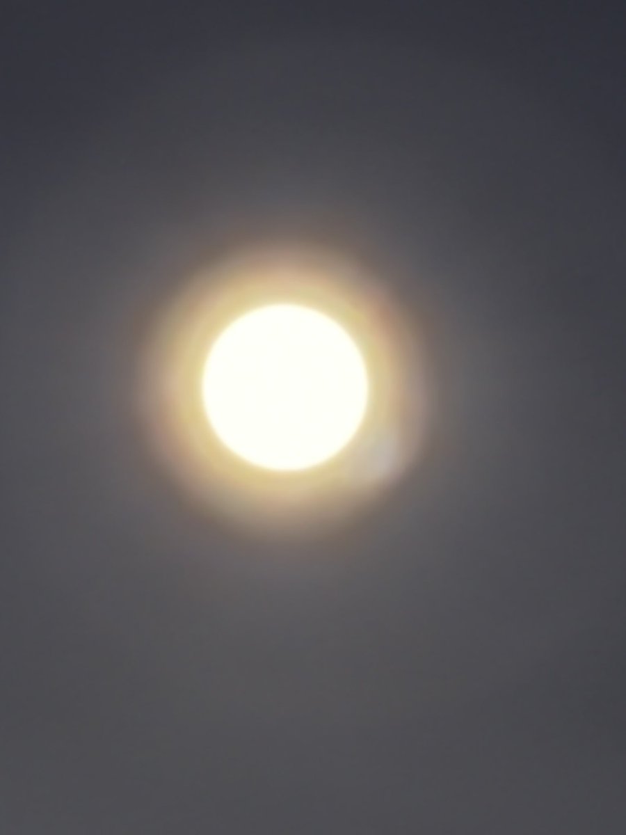 ゆう☃︎ tweet media