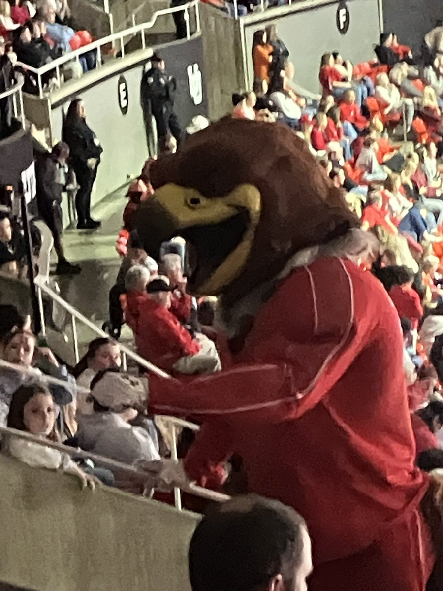 LimbKenneth's tweet photo. Swoop made it to the upper deck to cheer on Red Rock fans.  #Swoop #goutes #goRedRocks https://t.co/3Vkx7B1UxM