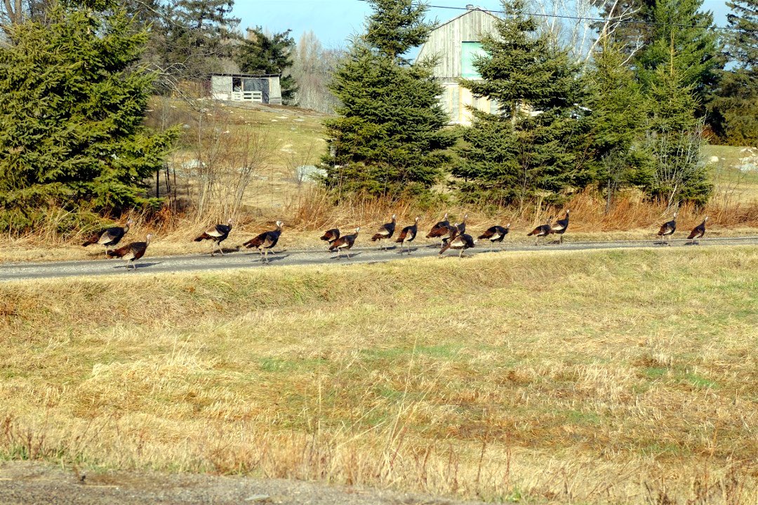 Mikesjournal tweet media