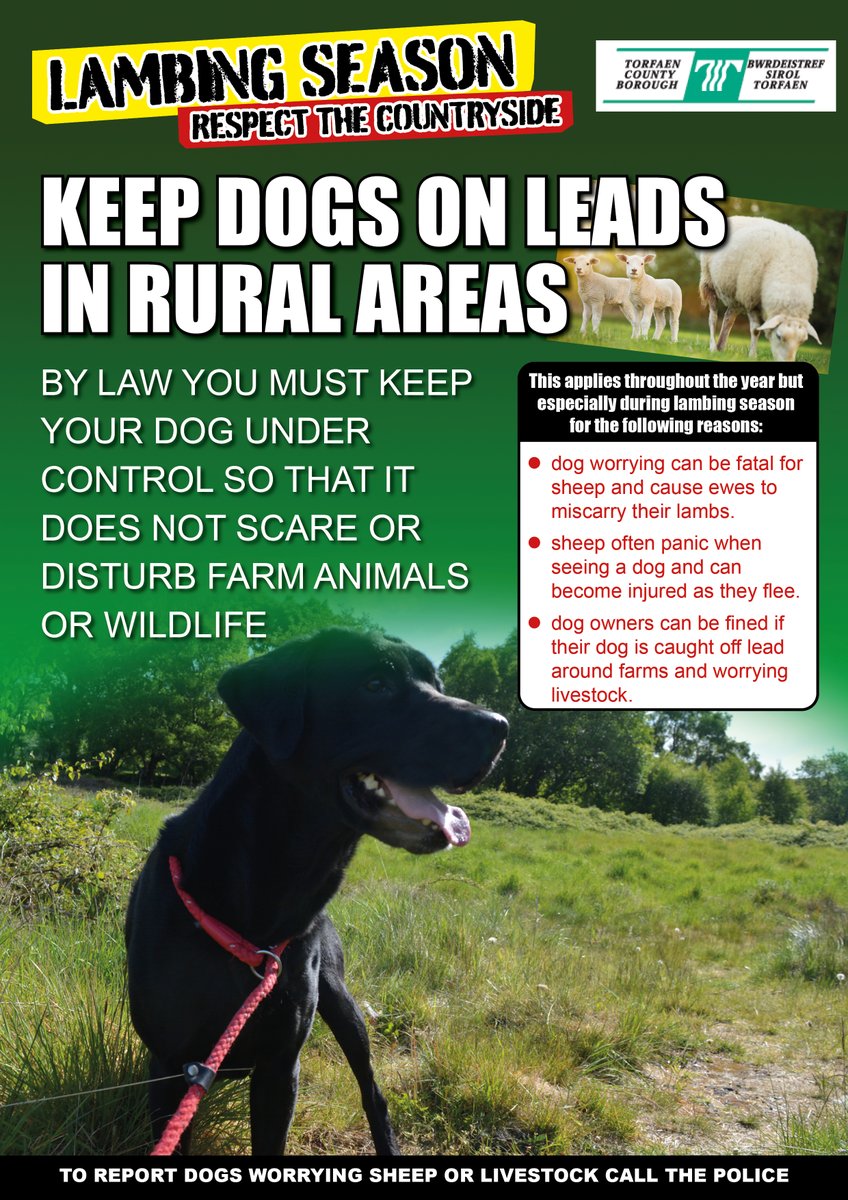 Torfaen Council 🏴󠁧󠁢󠁷󠁬󠁳󠁿🇺🇦 tweet media