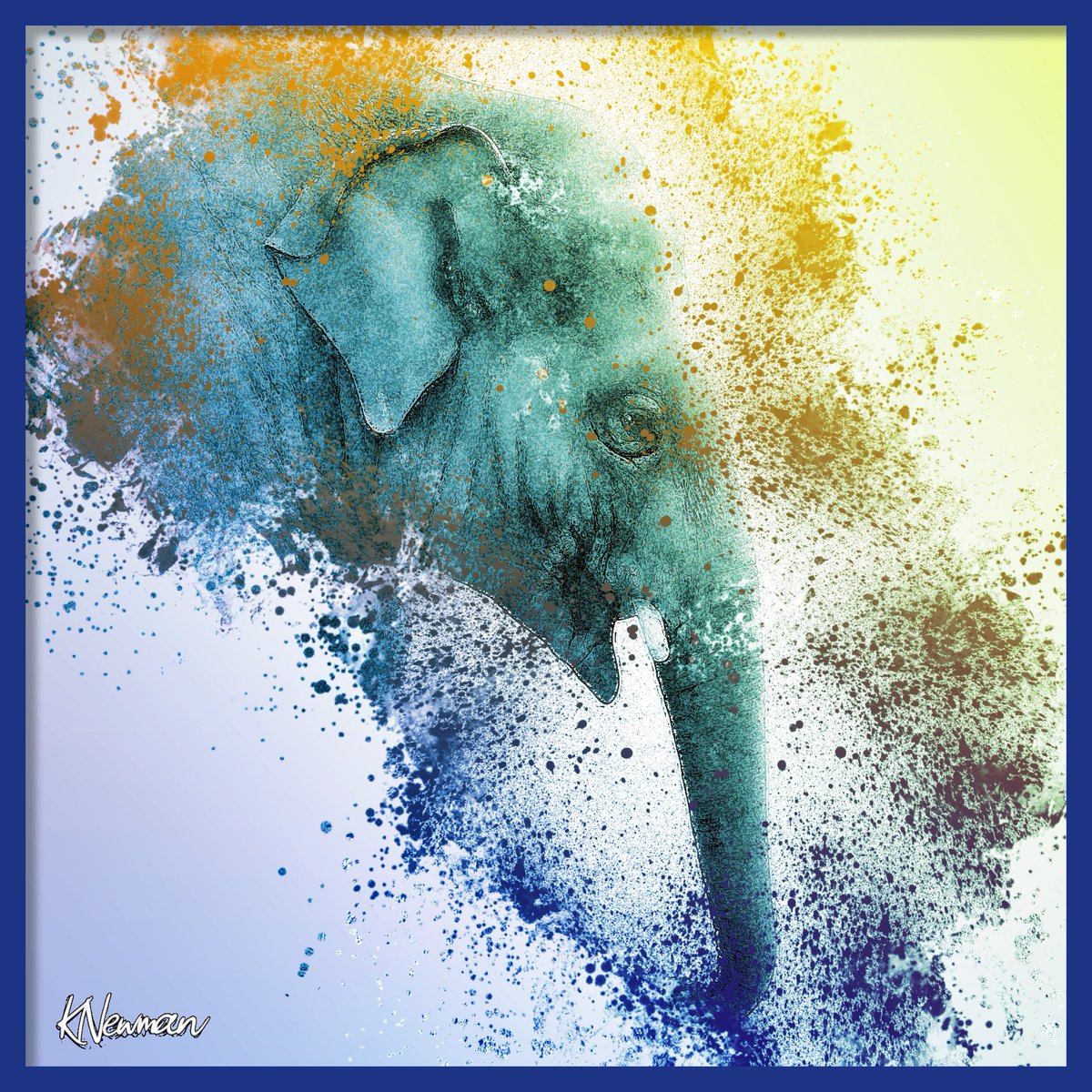 Kenneth Newman tweet media