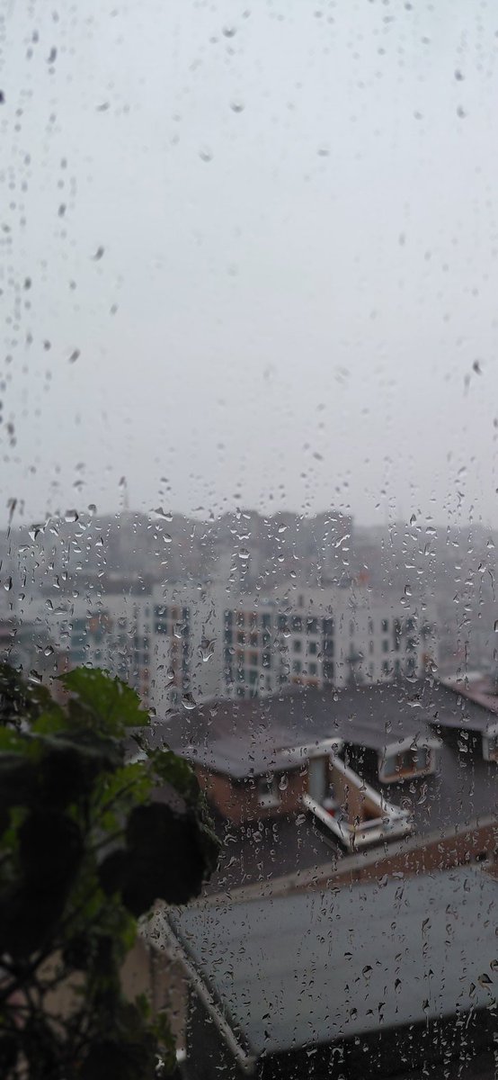 خوشه گندم 🌾 tweet media