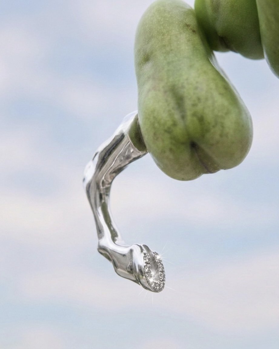 bak｛k｝ tweet media