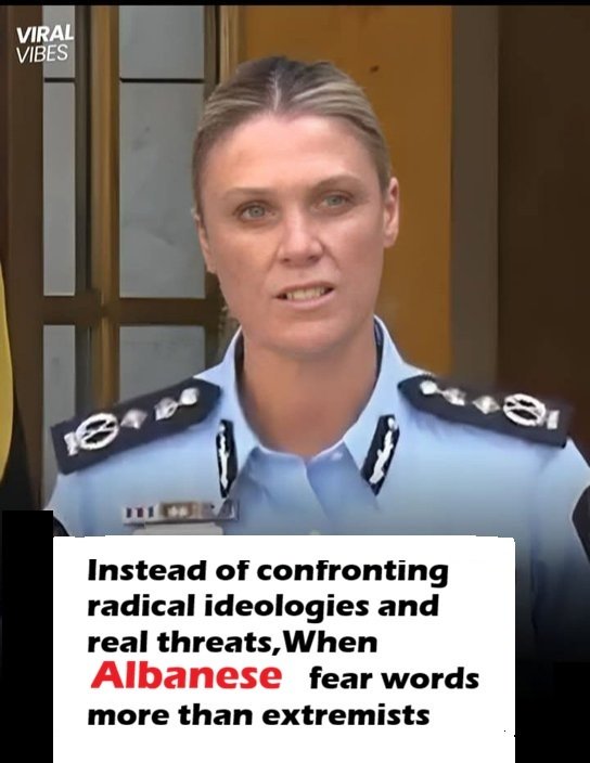 Hooters Aor tweet media