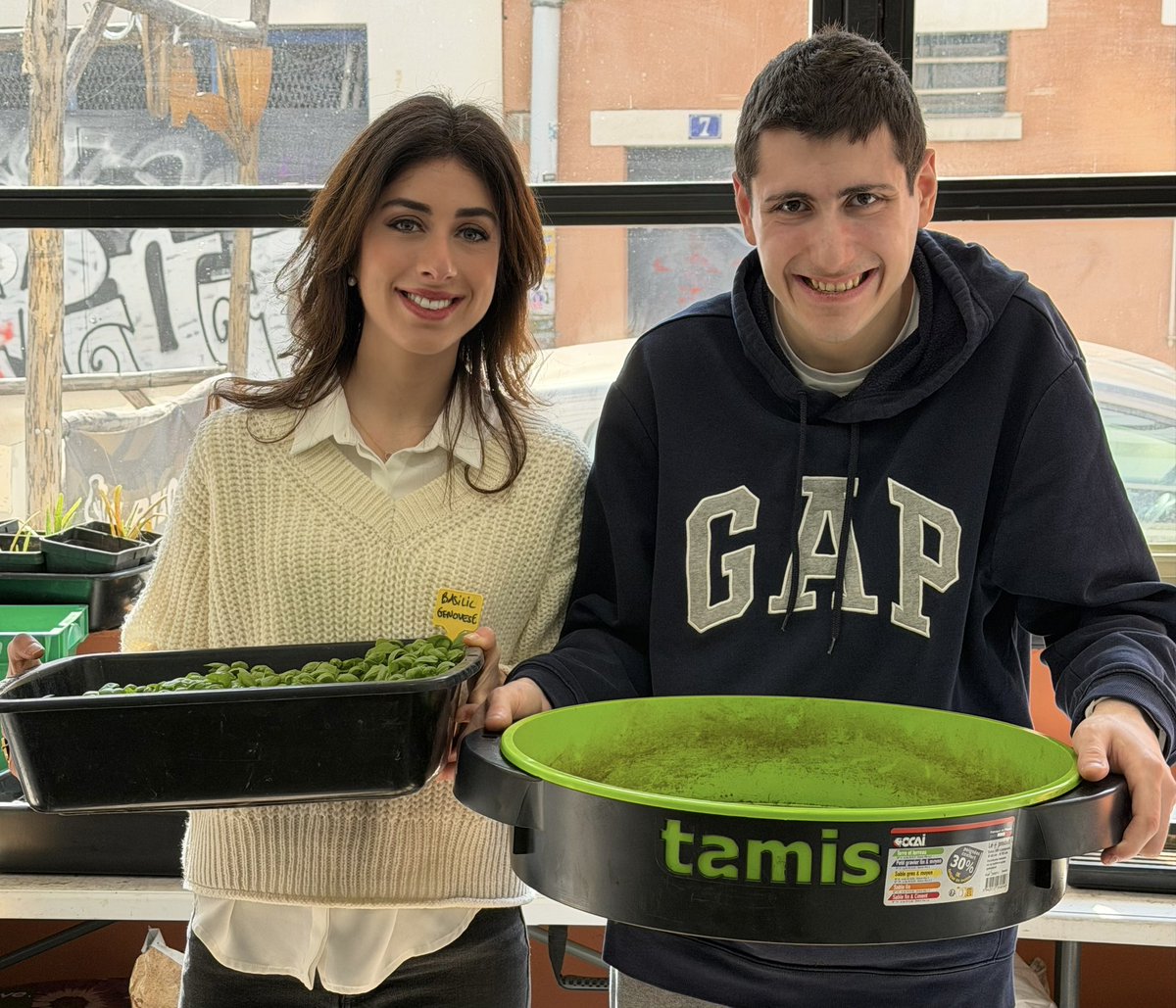 Shannon Seban tweet media