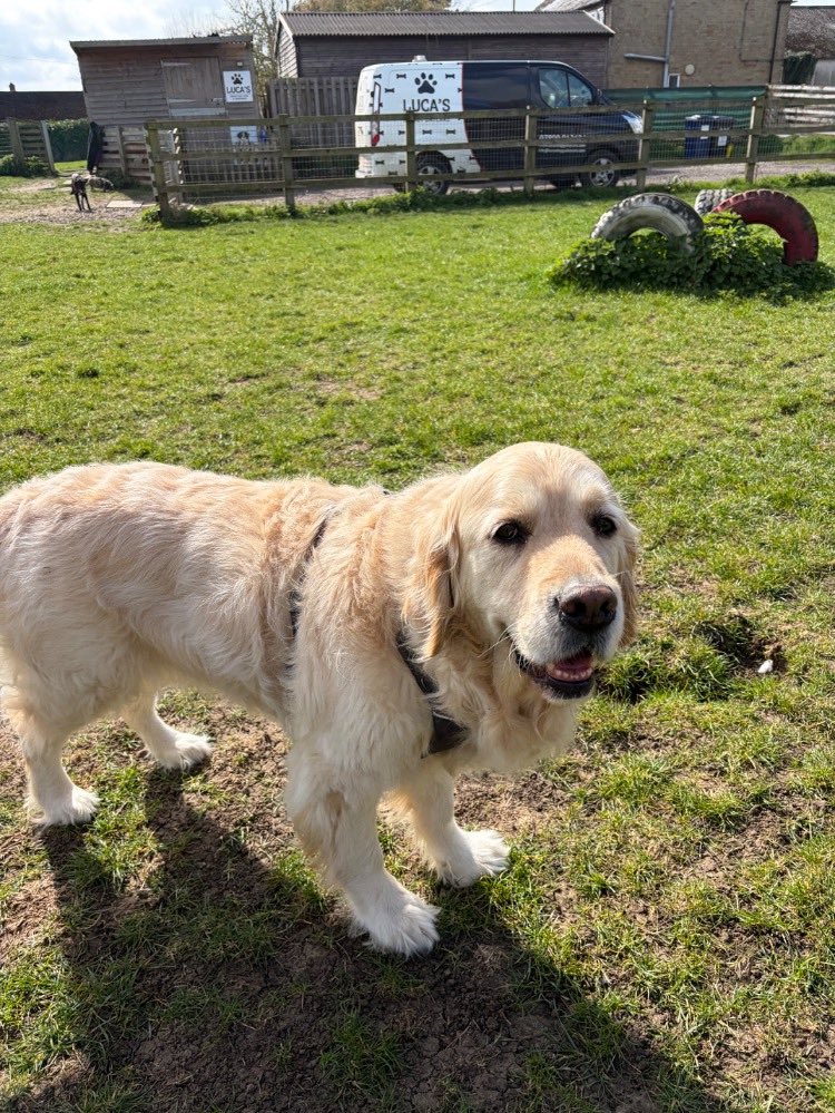 Fraser McDonald tweet media