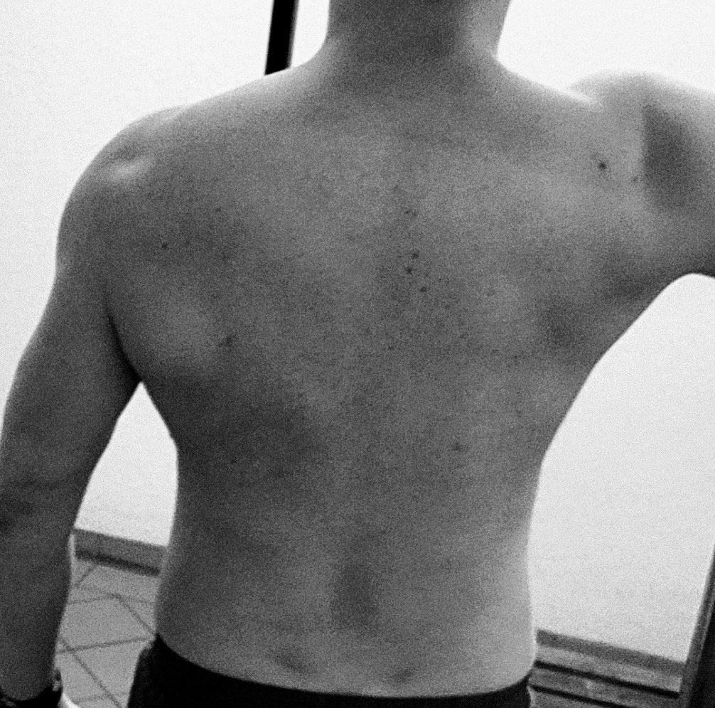 KallederGroße tweet media