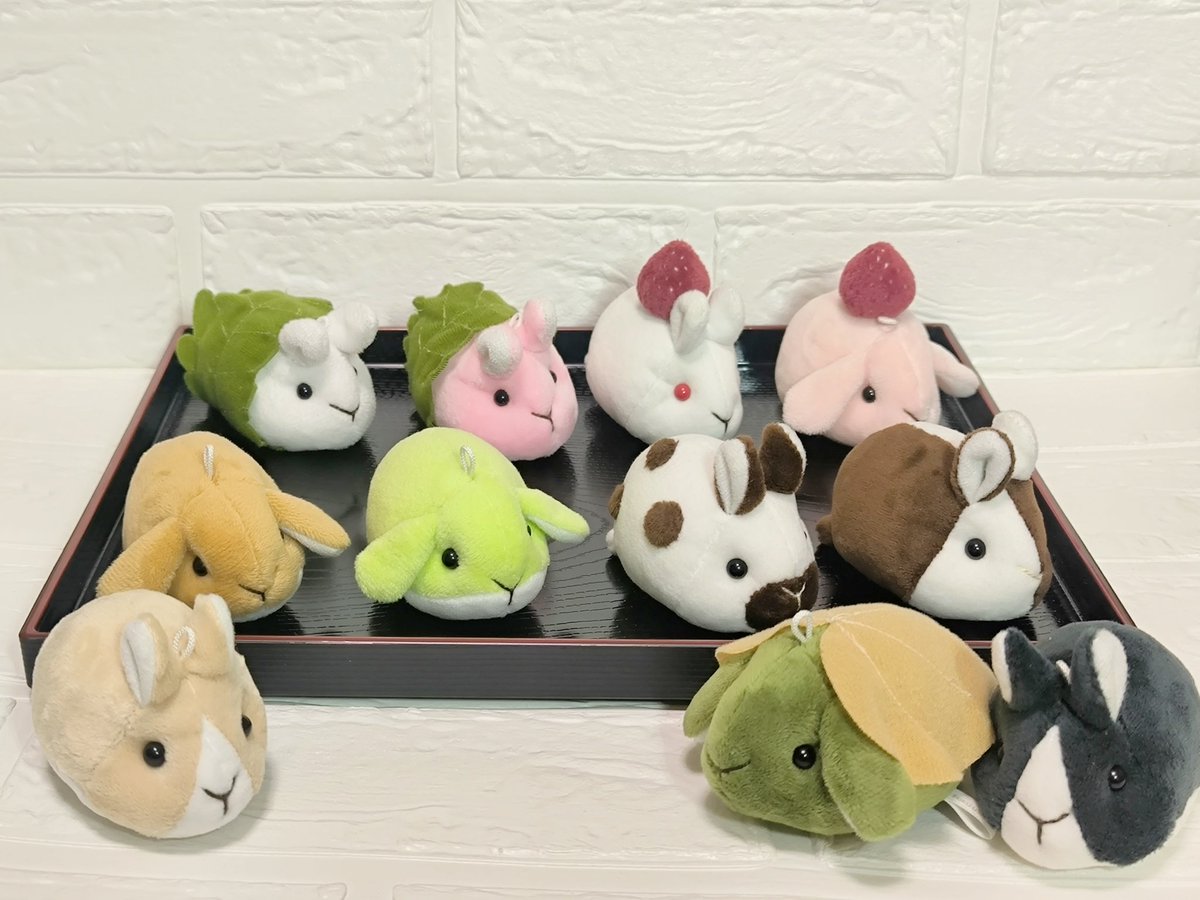 ふくうさぎ🐇5/2-3モノヴィレ、5/10福島 tweet media