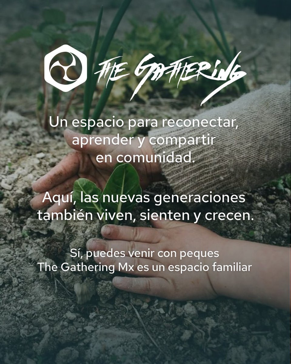 The Gathering Mexico tweet media