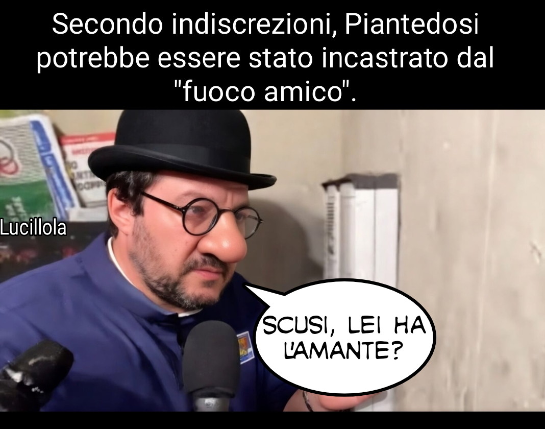 Lucillola tweet media