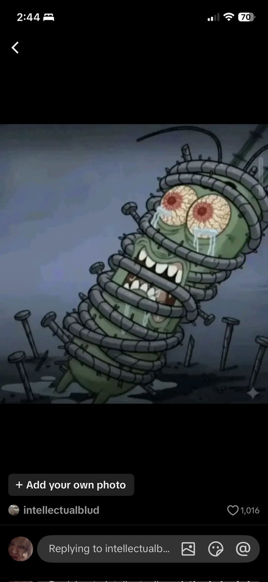 Nyx, 🕷️Spider Mutt🦴 tweet media