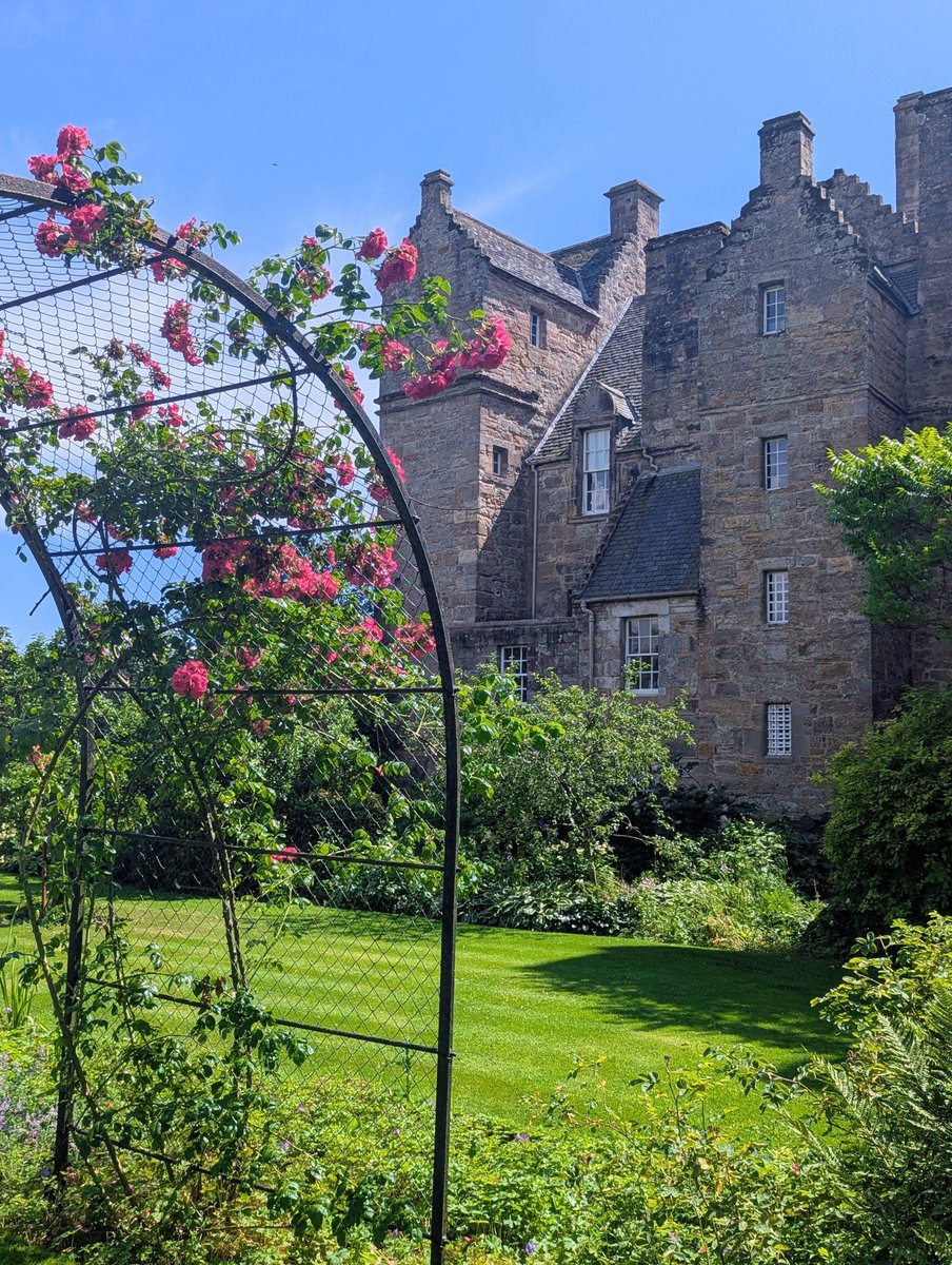 freddie barss tweet media