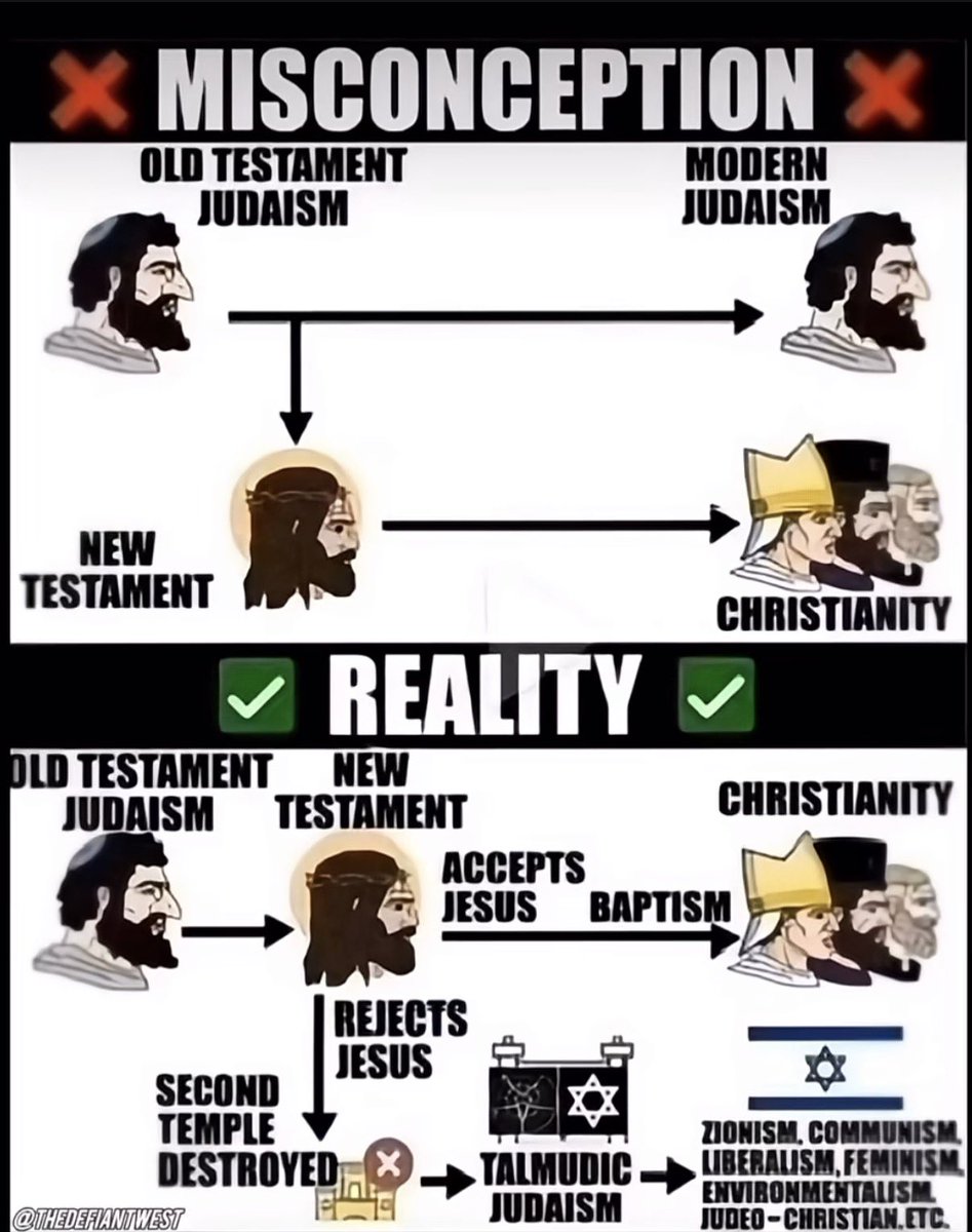 Mula Mule tweet media