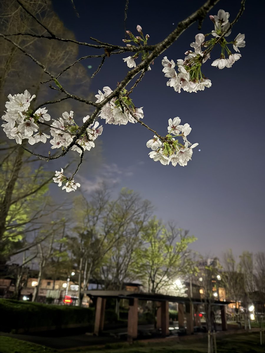 じゅん🎀 tweet media