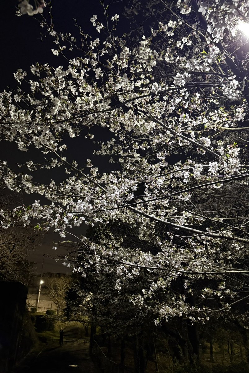 じゅん🎀 tweet media