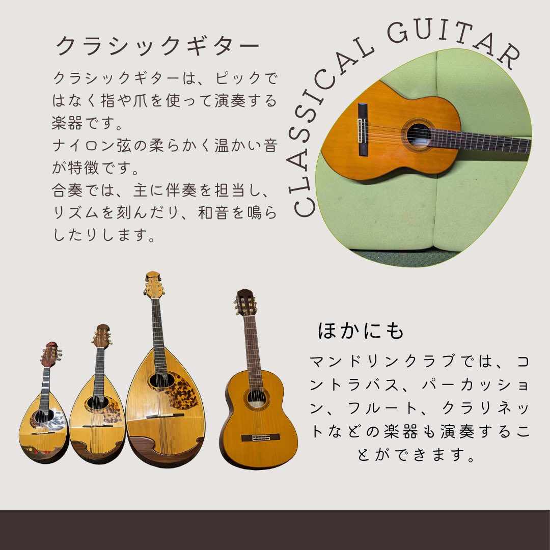 熊本大学マンドリンクラブ tweet media