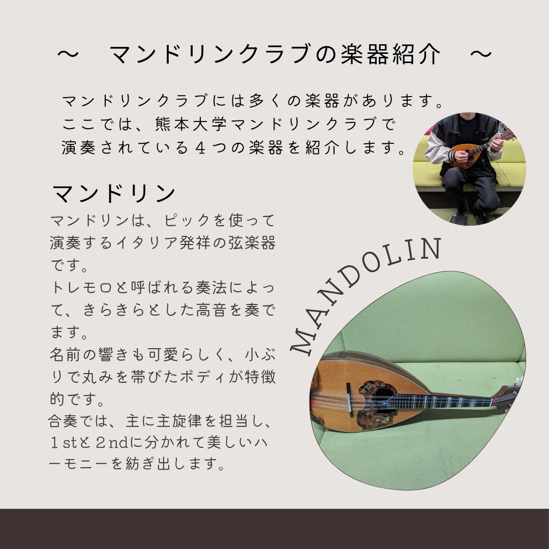 熊本大学マンドリンクラブ tweet media