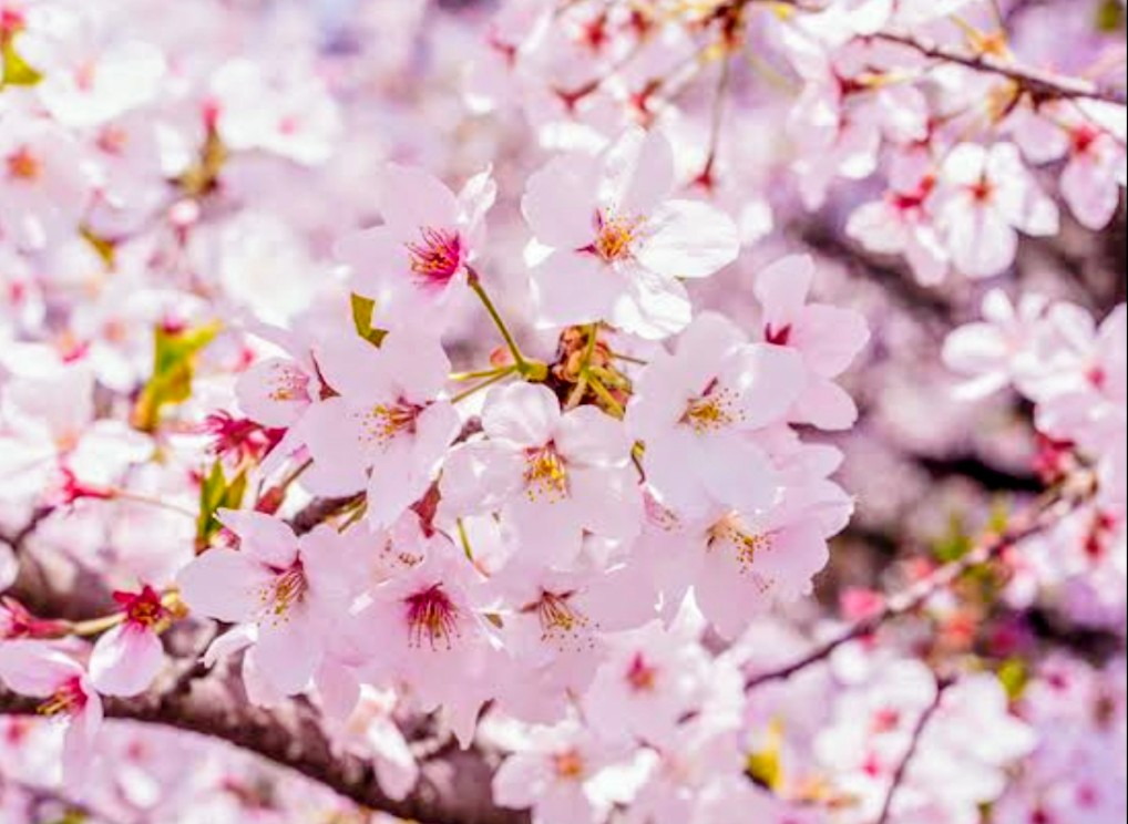 かっちゃん tweet media