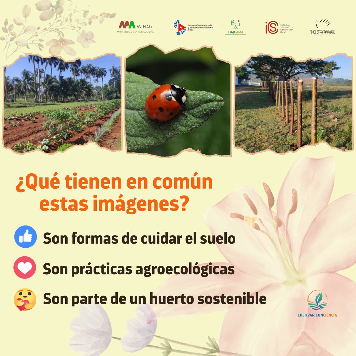 Cultivar Conciencia tweet media