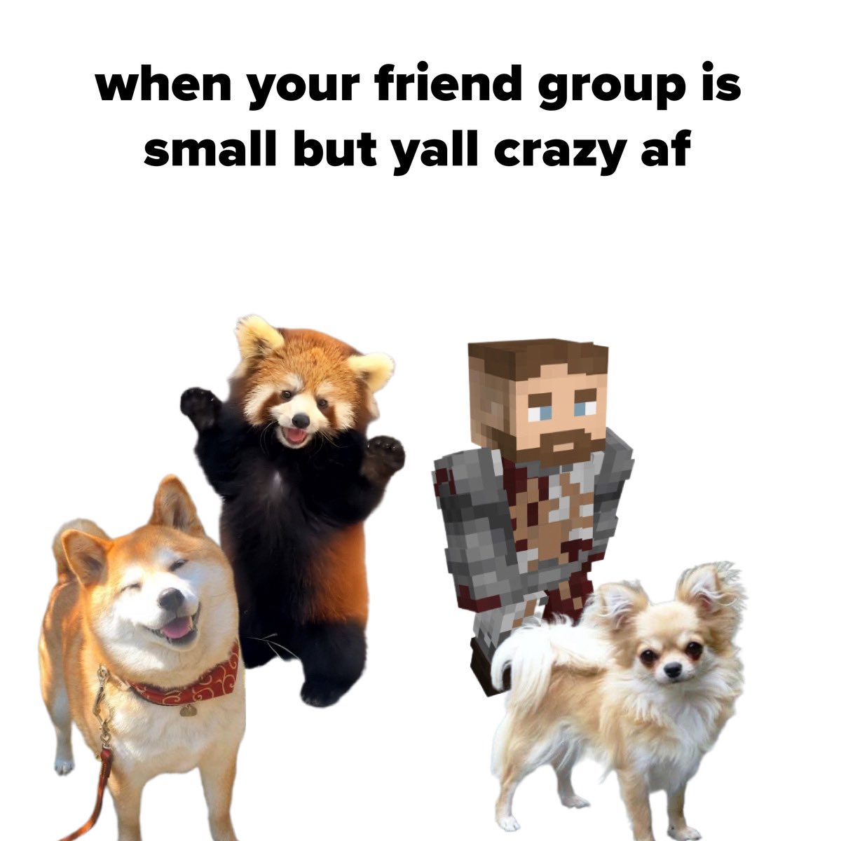 Yulem00n's tweet photo. #qsmp2 #youngmulti #graf #nexe333 #ewron 
polish hussars basically(multi is a chihuahua cuz of his dog but can also be a mop😭 graf is the only human) https://t.co/HH6SfTCNse
