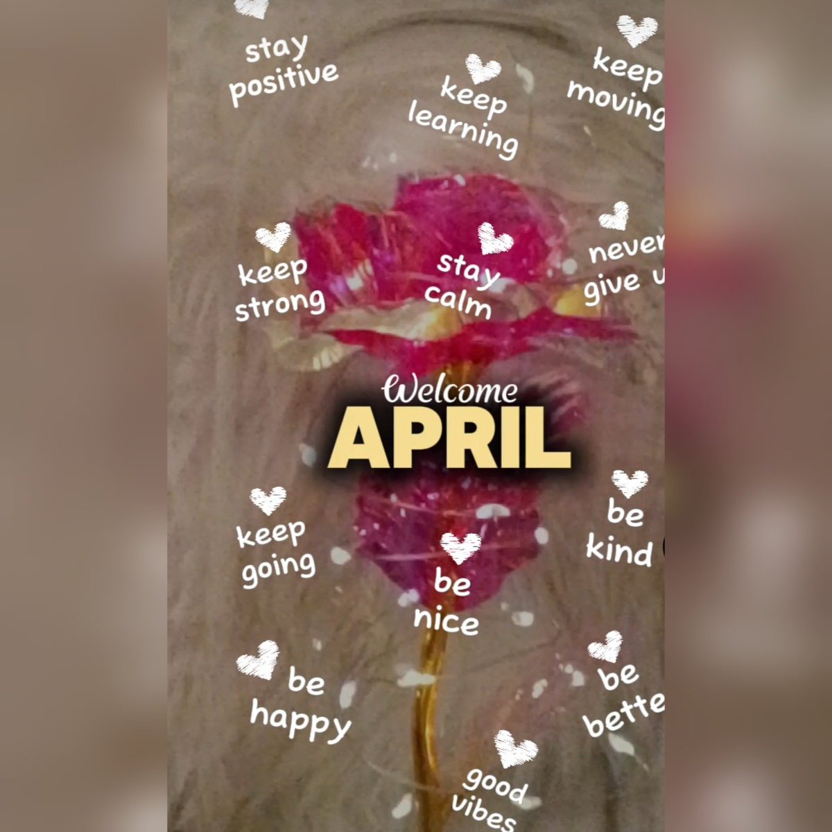 𝔪𝔬𝔩𝔩𝔶 𝔯𝔬𝔰𝔢 𝔰𝔞𝔩𝔱🌹 🧂✨🎀💋 tweet media