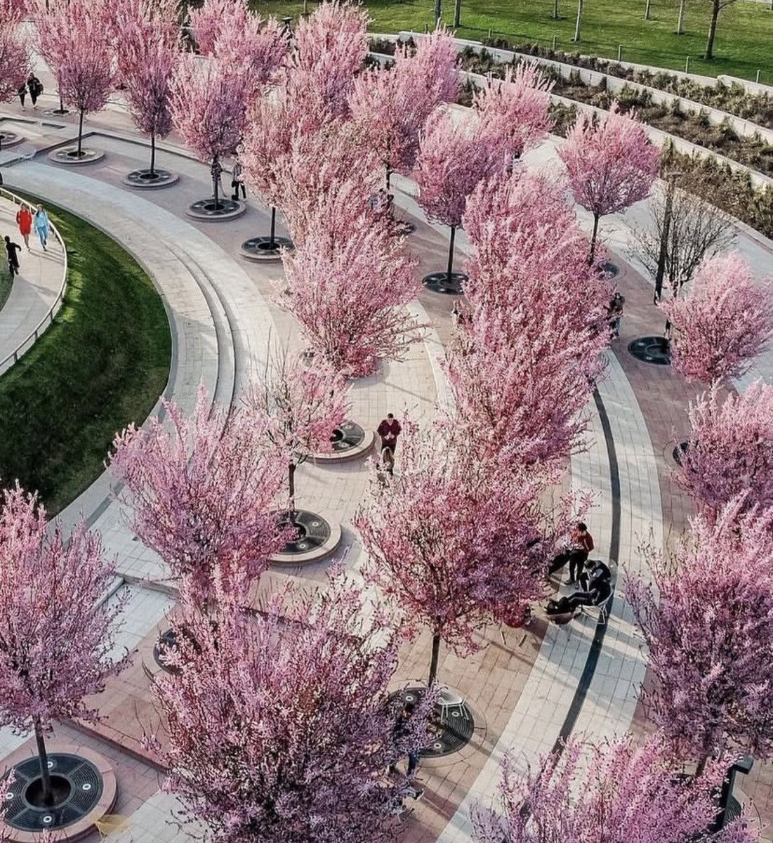 русский императив tweet media