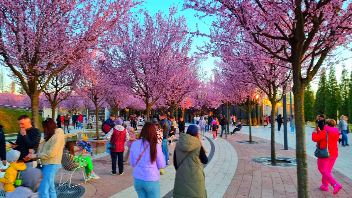 русский императив tweet media