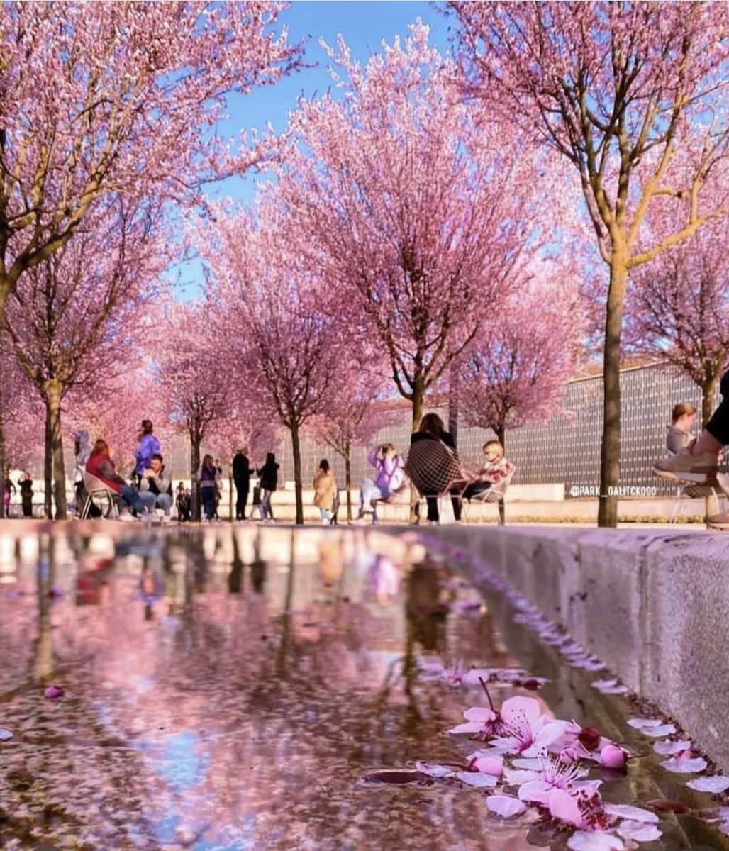 русский императив tweet media