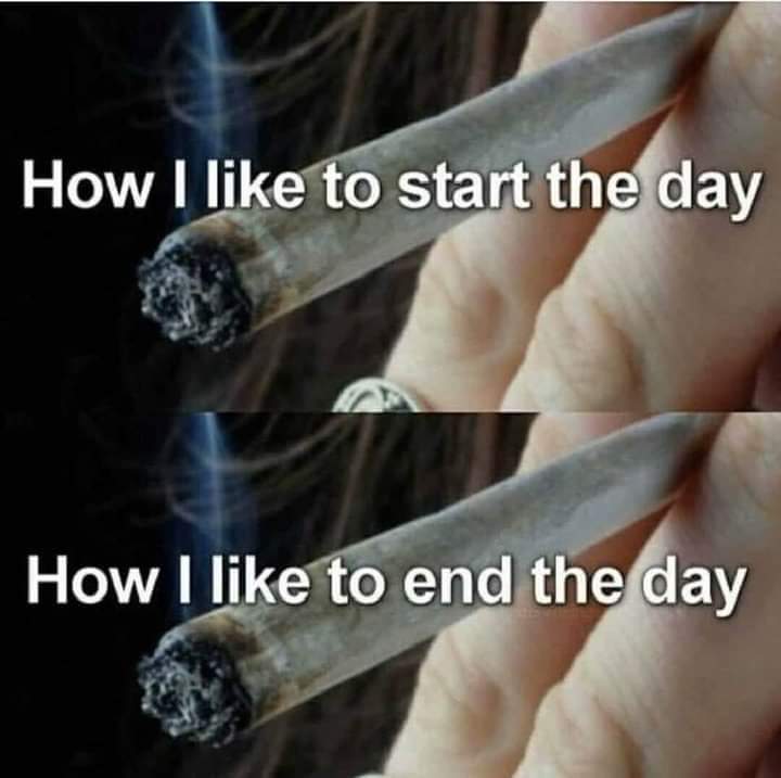 Stoner Jesus™ tweet media