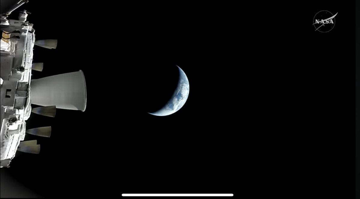 David Willis tweet media