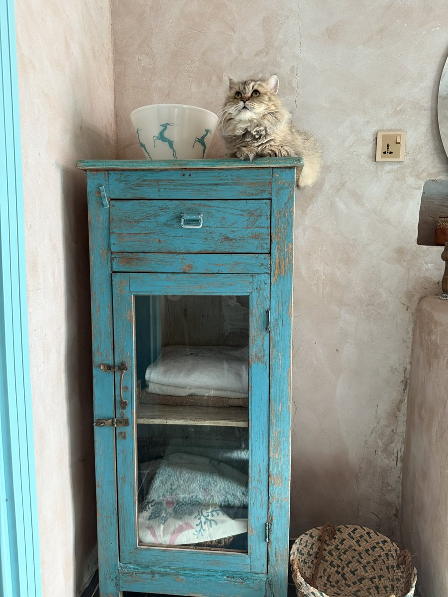 はなもも(hanamomo) tweet media