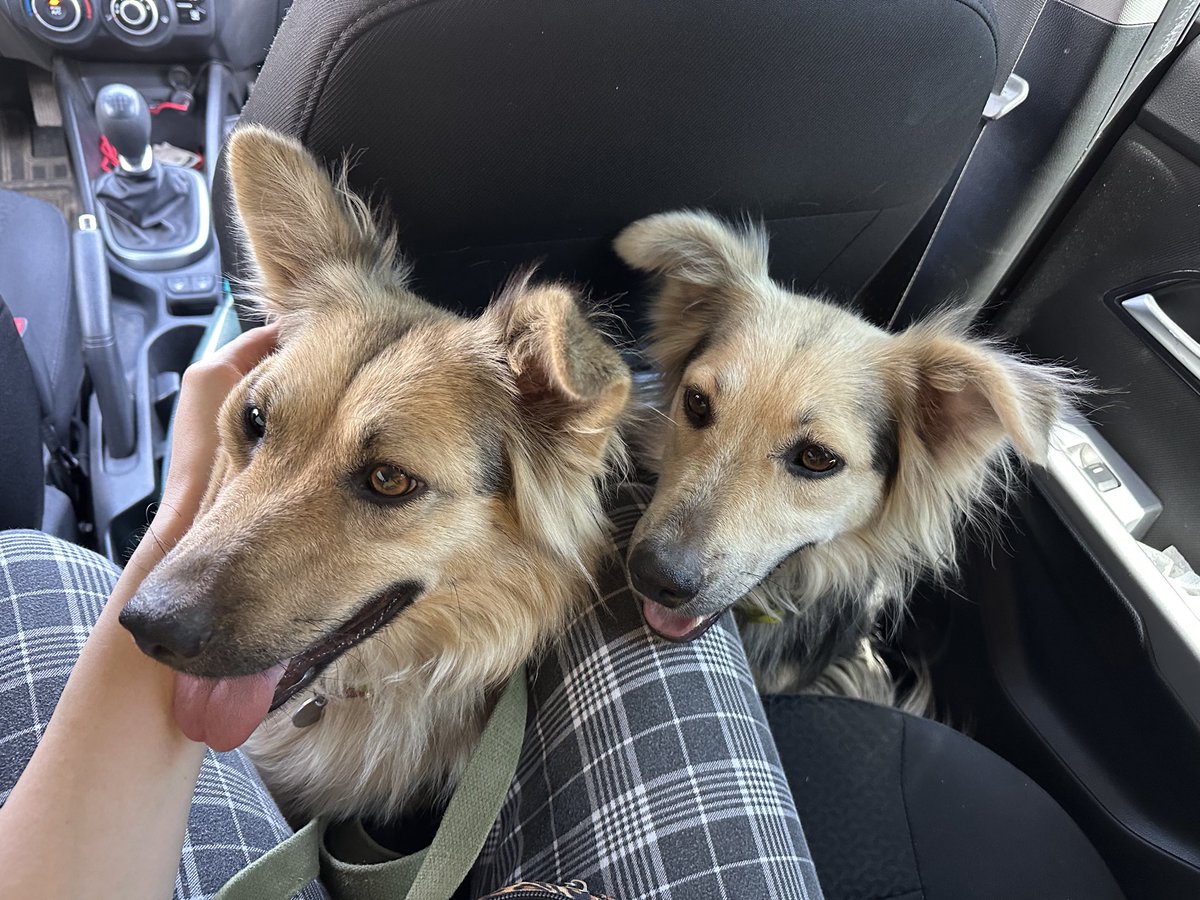 Юлия Летаур tweet media