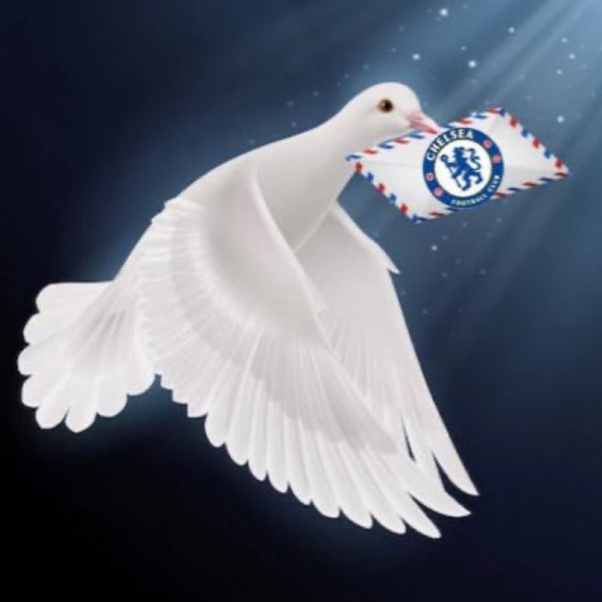 RobSanchezOUT's tweet image. TheChelseaTalk modern internet absurdism in big 2026 #GoneButNotForgotten #WasntEvenOnTwitterAtTheTime