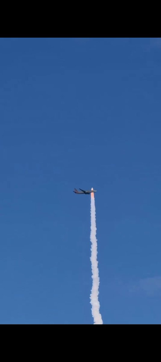 cocopetrel tweet media