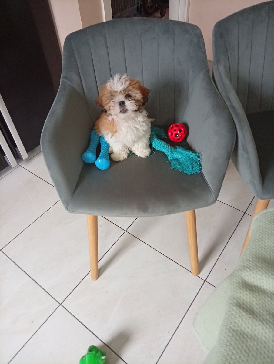 Alan LaCasse tweet media