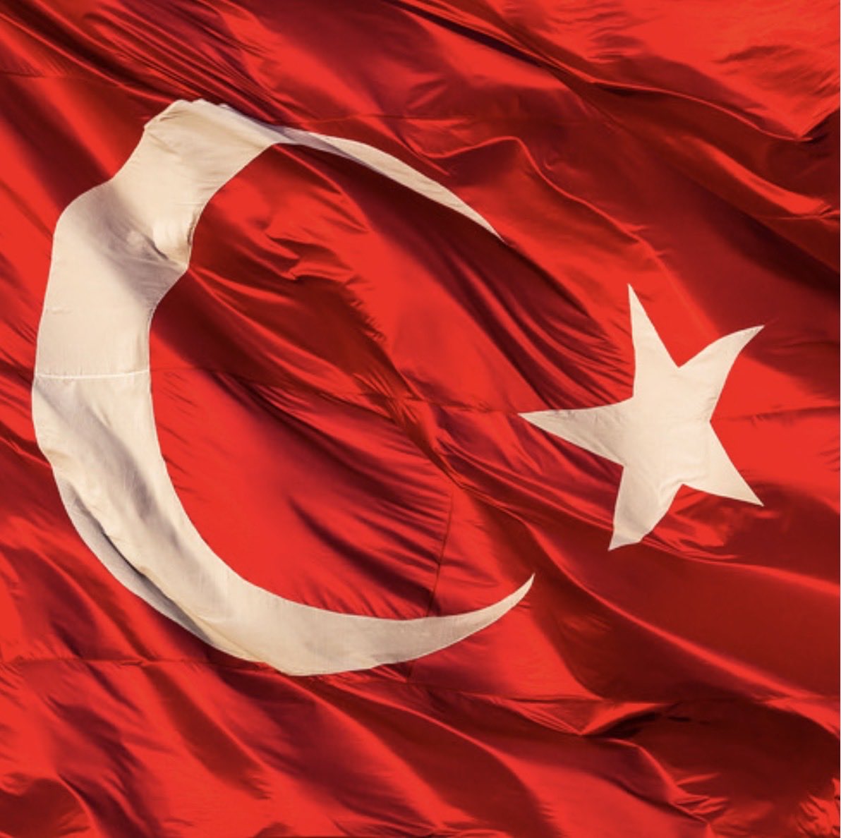 Un Franco-Turc 🇫🇷🤝🏼🇹🇷 tweet media