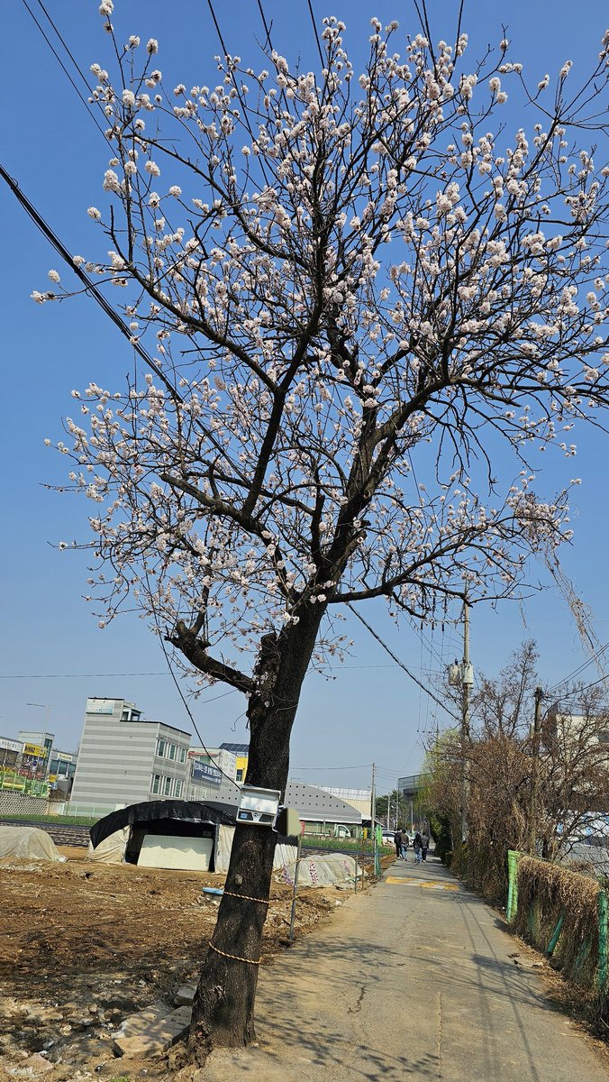 ㅇㄴㄱ tweet media