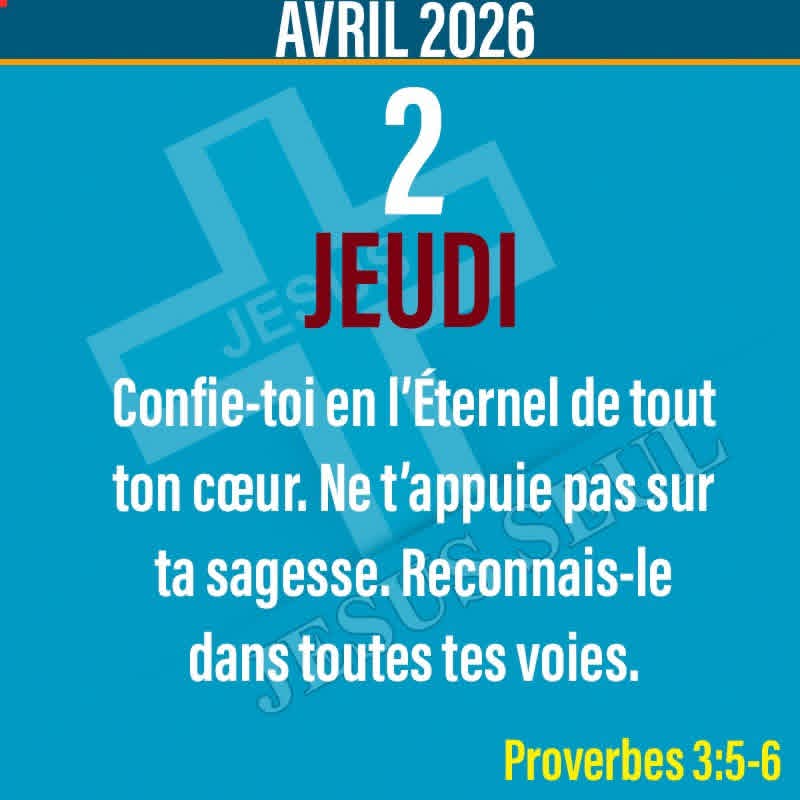 Windy Déra🇭🇹 tweet media