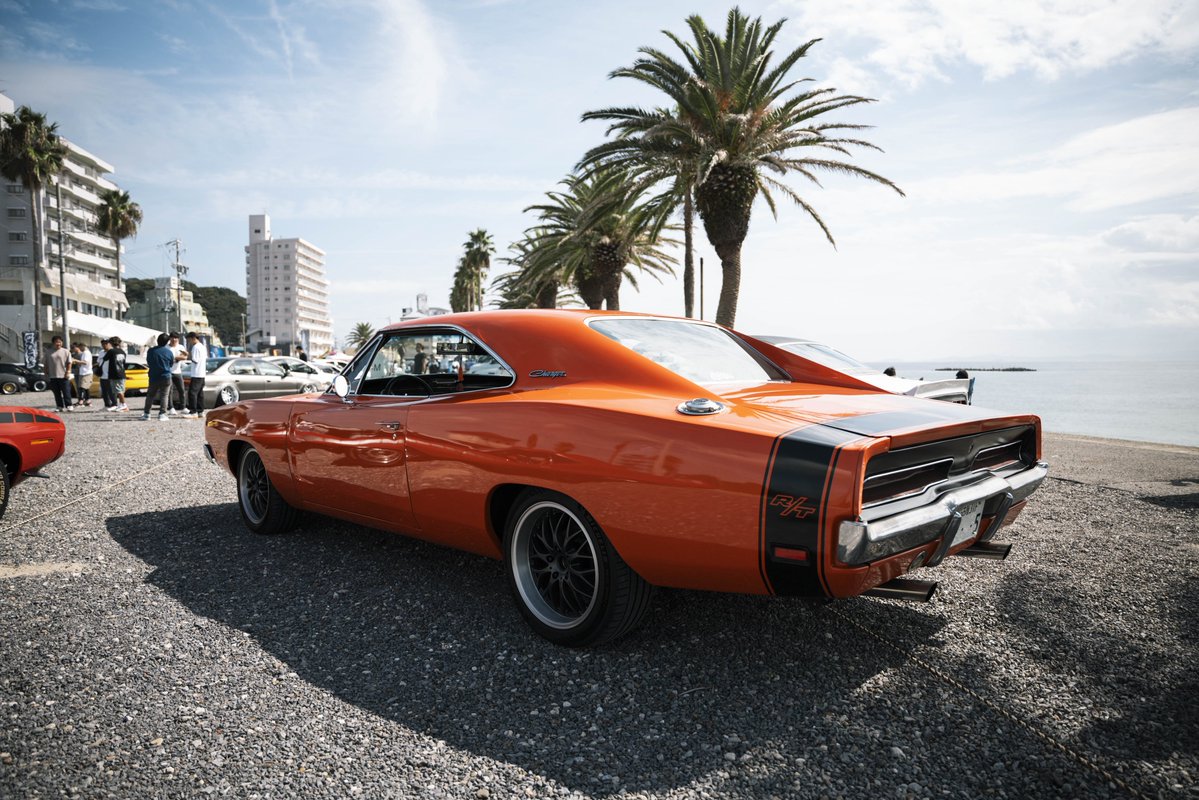 Teshi🍊 tweet media