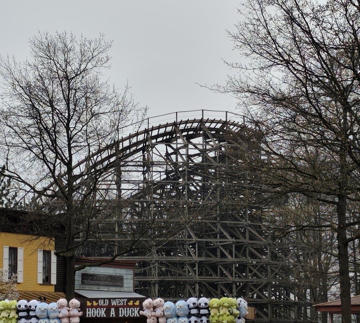 Stampida 305 tweet media