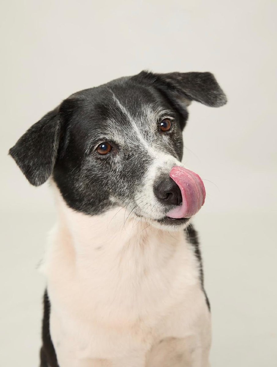 Abhijit Iyer-Mitra tweet media