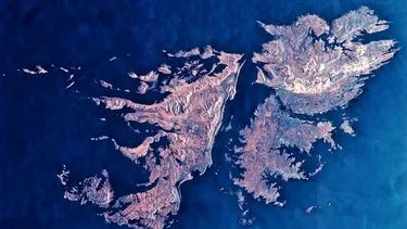 Nicolas Piloni tweet media