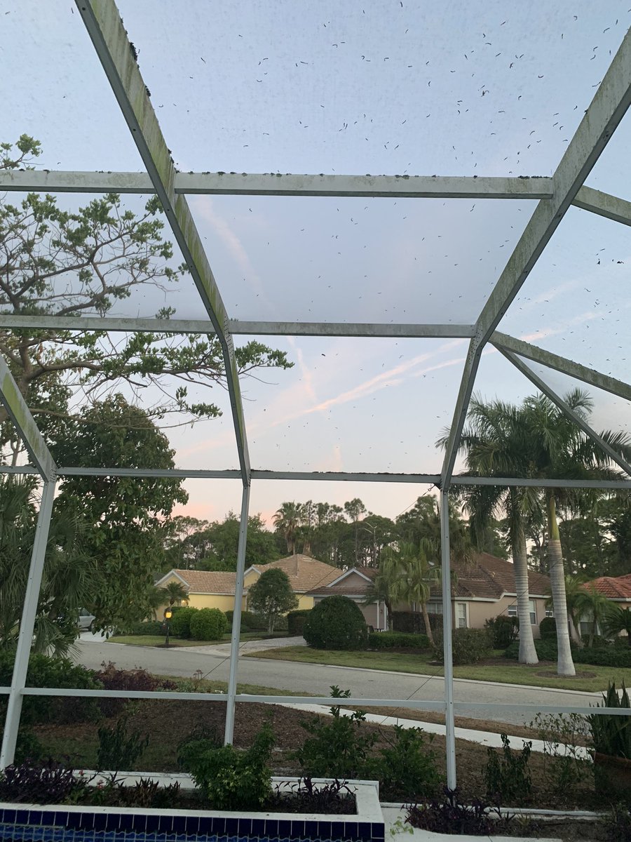 DDelPurgatorio's tweet photo. @RonDeSantis Again overnight up your ass there Rony thanks to your daddy @SecWar . How’s it feel useless asshole https://t.co/tzpxdzJq8T