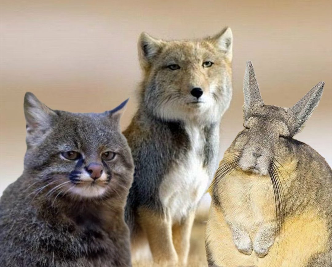 𝔤𝔦𝔭𝔢𝔯𝔪𝔞𝔯𝔦𝔫𝔞 𝔮𝔞𝔡𝔪𝔬𝔫 tweet media