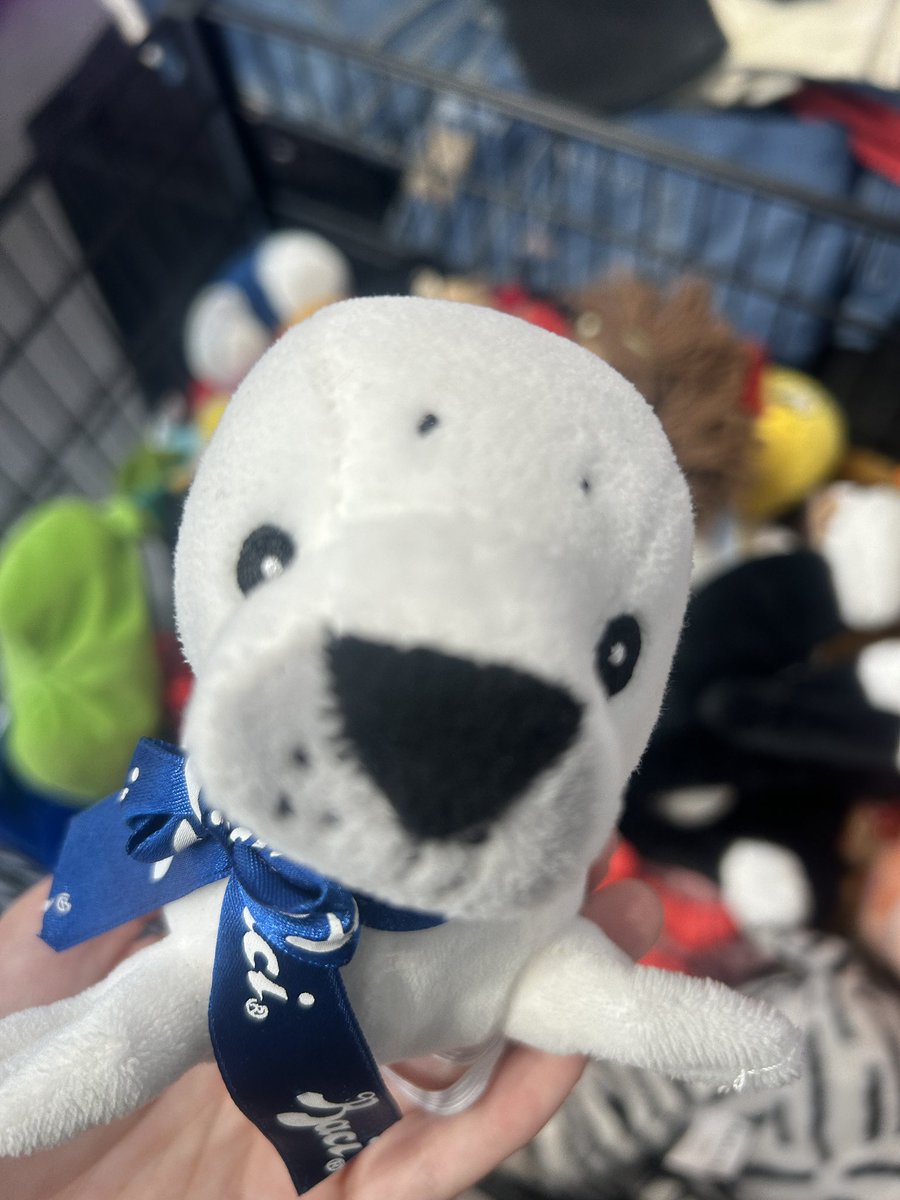 hola os gusta creo que me identifico soy therian me apoyan