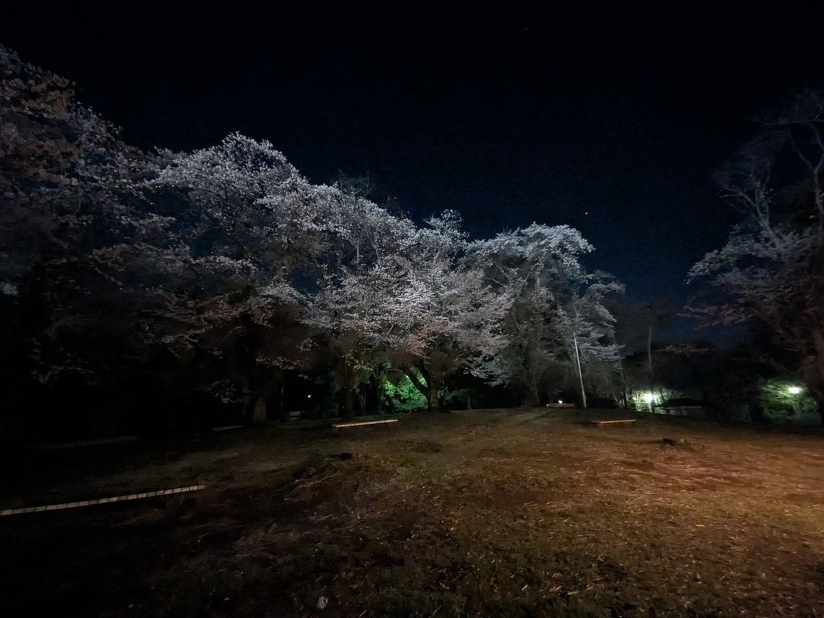 𝓖𝓻𝓮𝓮𝓮𝓮𝓮𝓷𝓕𝓜(57） tweet media