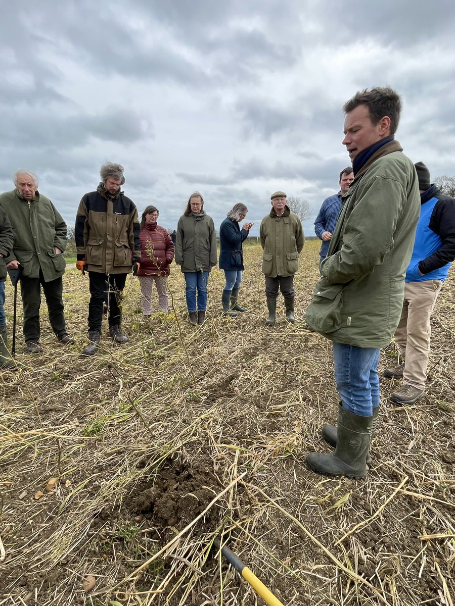 The Allerton Project tweet media