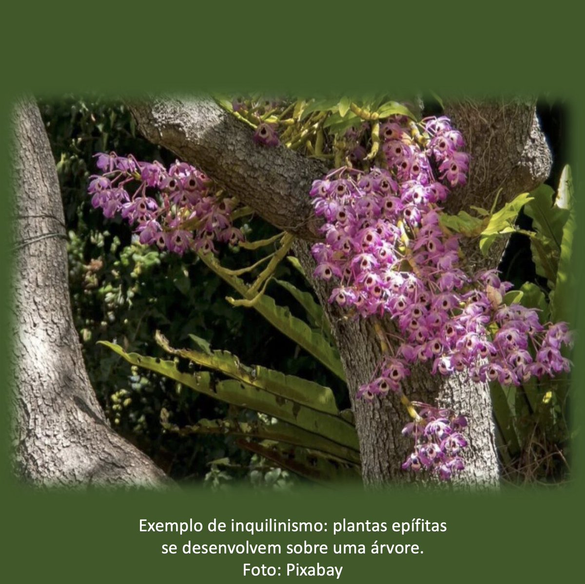 Adalberto Luis Val tweet media